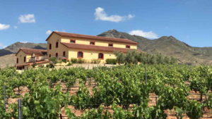 cata de vinos en almeria