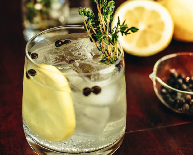 4 recetas de gin tonics originales