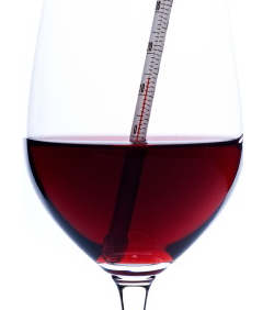 La temperatura idónea del vino