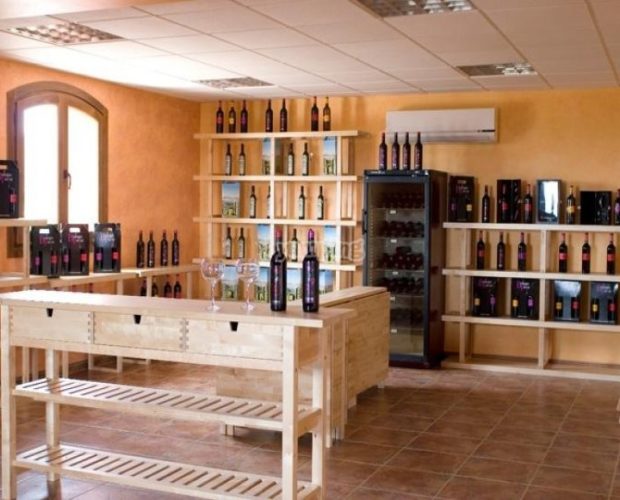 Catas de vinos en Almería, una experiencia única